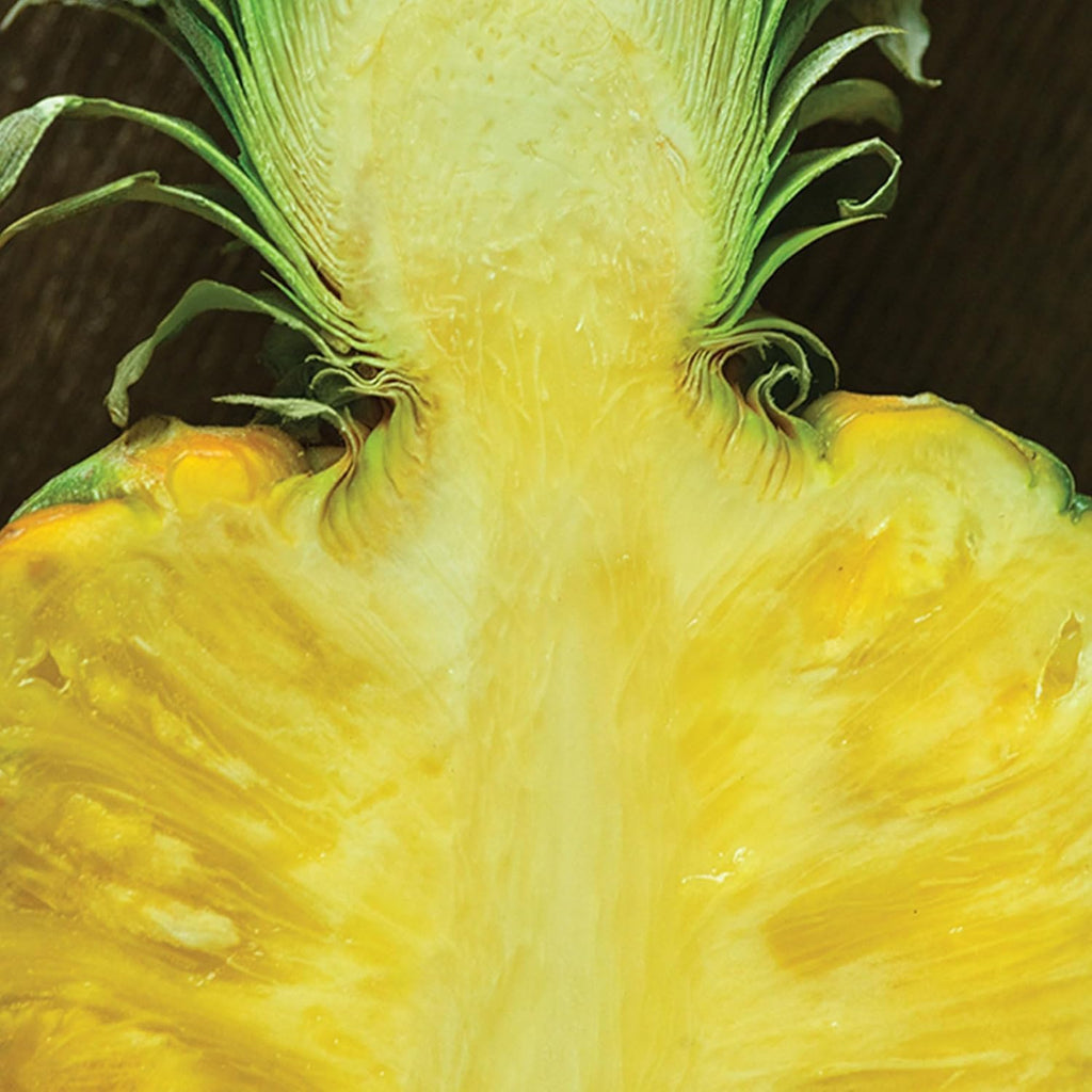 Ralph Lauren Polo 67 Eau De Toilette Spray For Men, Calabrian Bergamot & Pineapple Accord