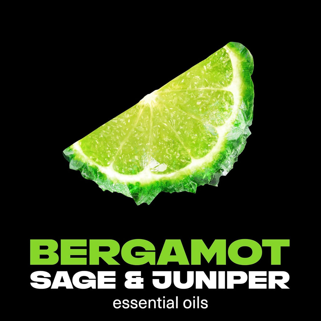 LYNX Fine Fragrance Deodorant ANTIPERSPIRANT AQUA BERGAMOT 150 ML (Pack of 2)