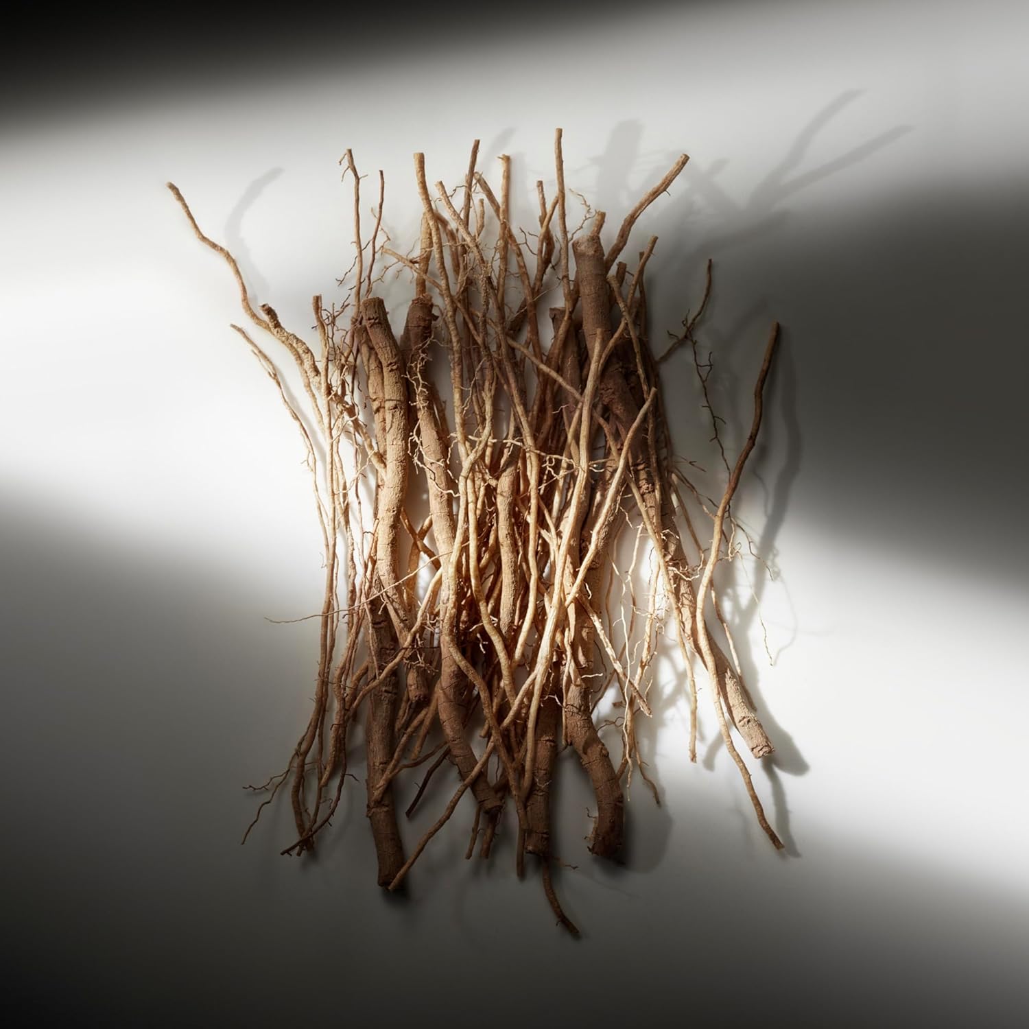 Ralph Lauren Ralph's Club, Eau de Parfum Spray for Men, Intense Sensual Woody Scent, For Style and Elegance