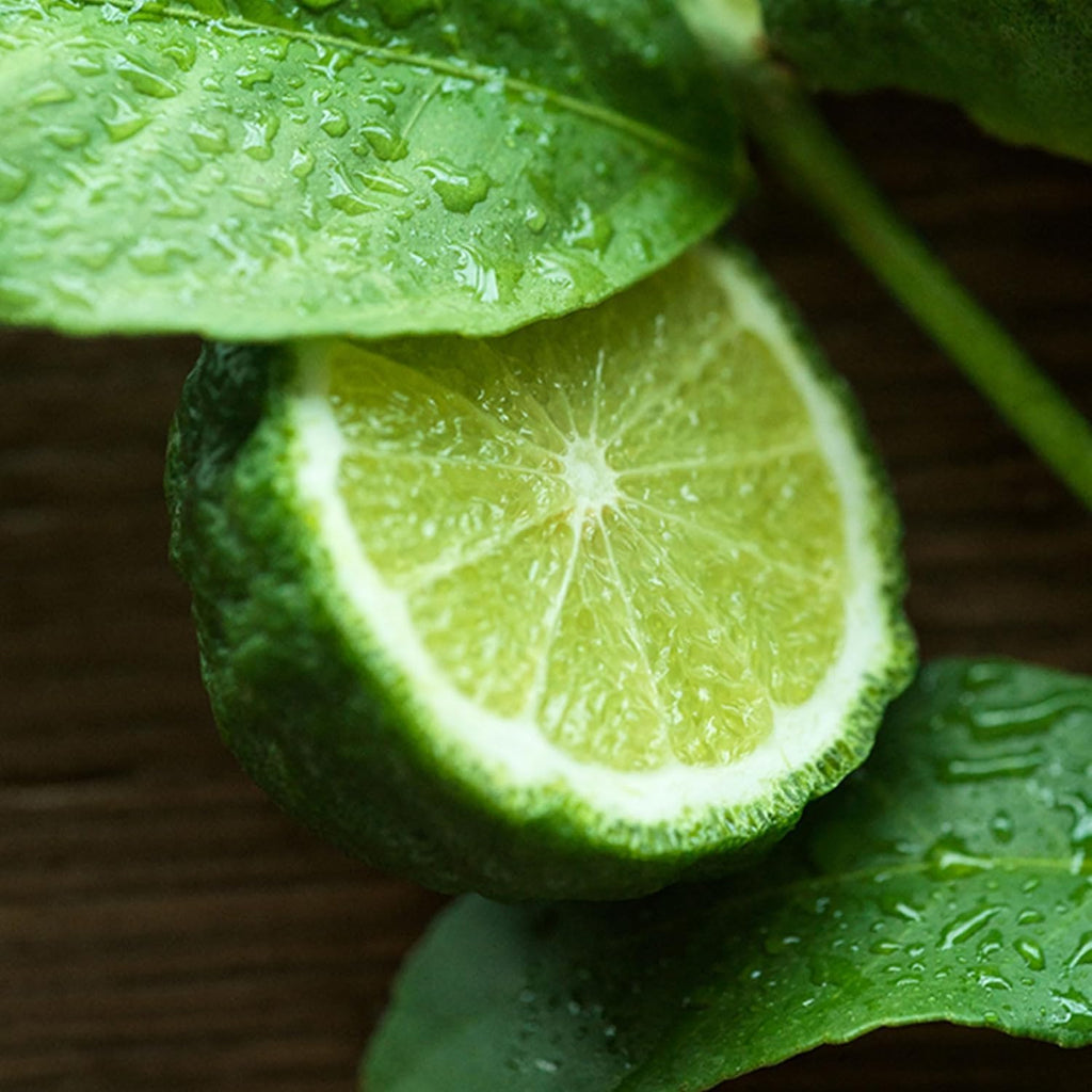 Ralph Lauren Polo 67 Eau De Toilette Spray For Men, Calabrian Bergamot & Pineapple Accord