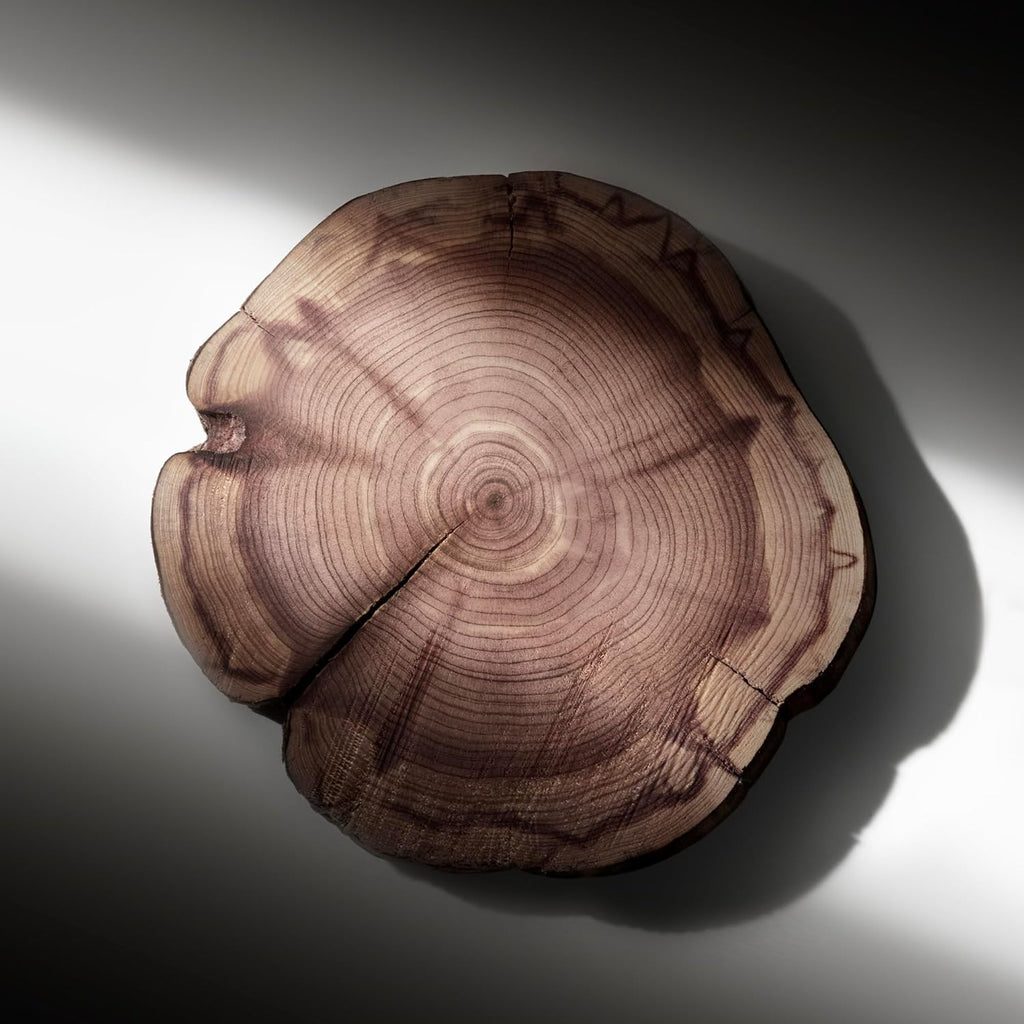 Ralph Lauren Ralph's Club, Eau de Parfum Spray for Men, Intense Sensual Woody Scent, For Style and Elegance