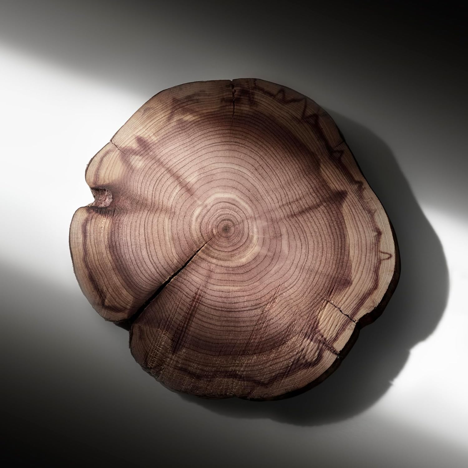 Ralph Lauren Ralph's Club, Eau de Parfum Spray for Men, Intense Sensual Woody Scent, For Style and Elegance