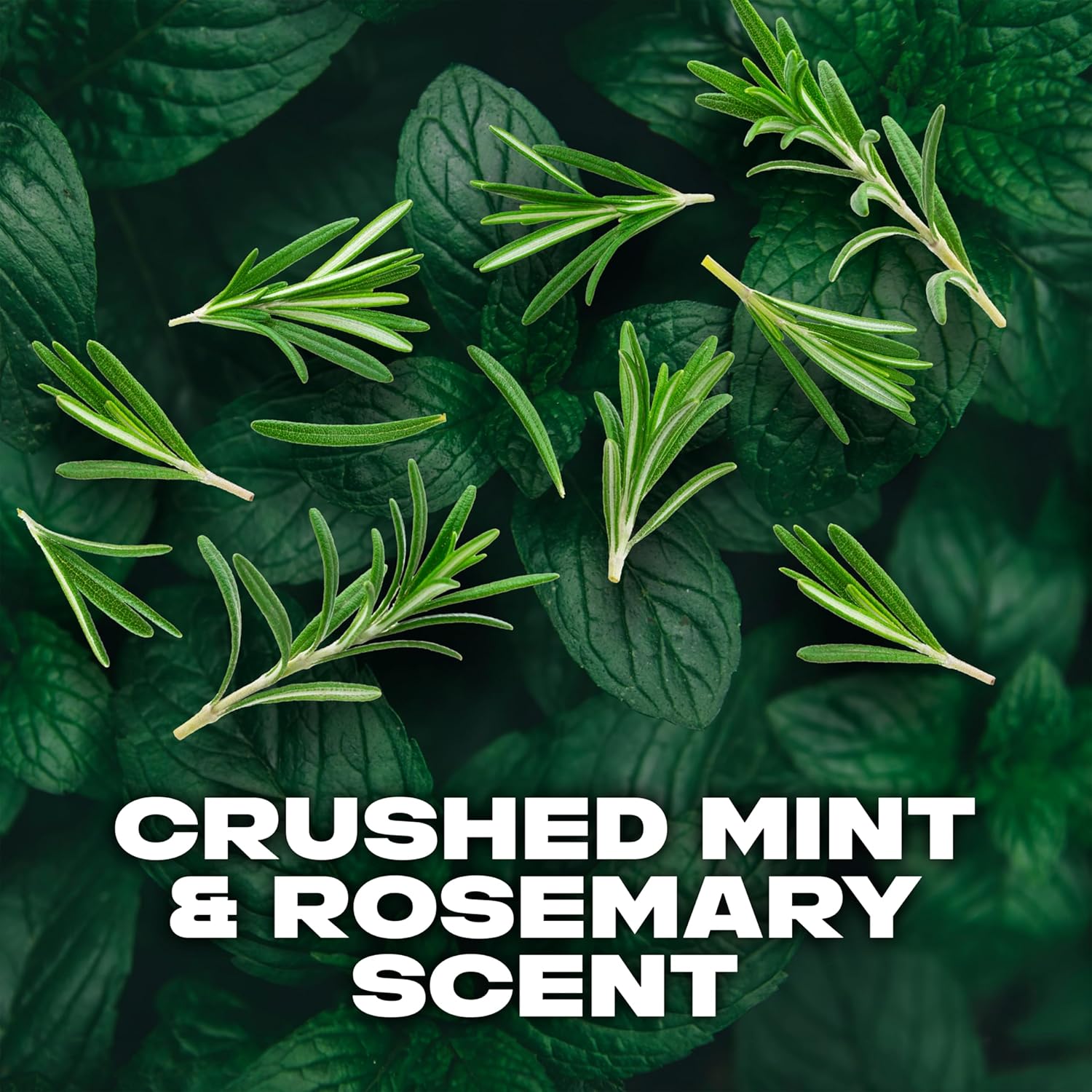 LYNX Black Night Deodorant Body Spray 165 ml (Pack of 3)