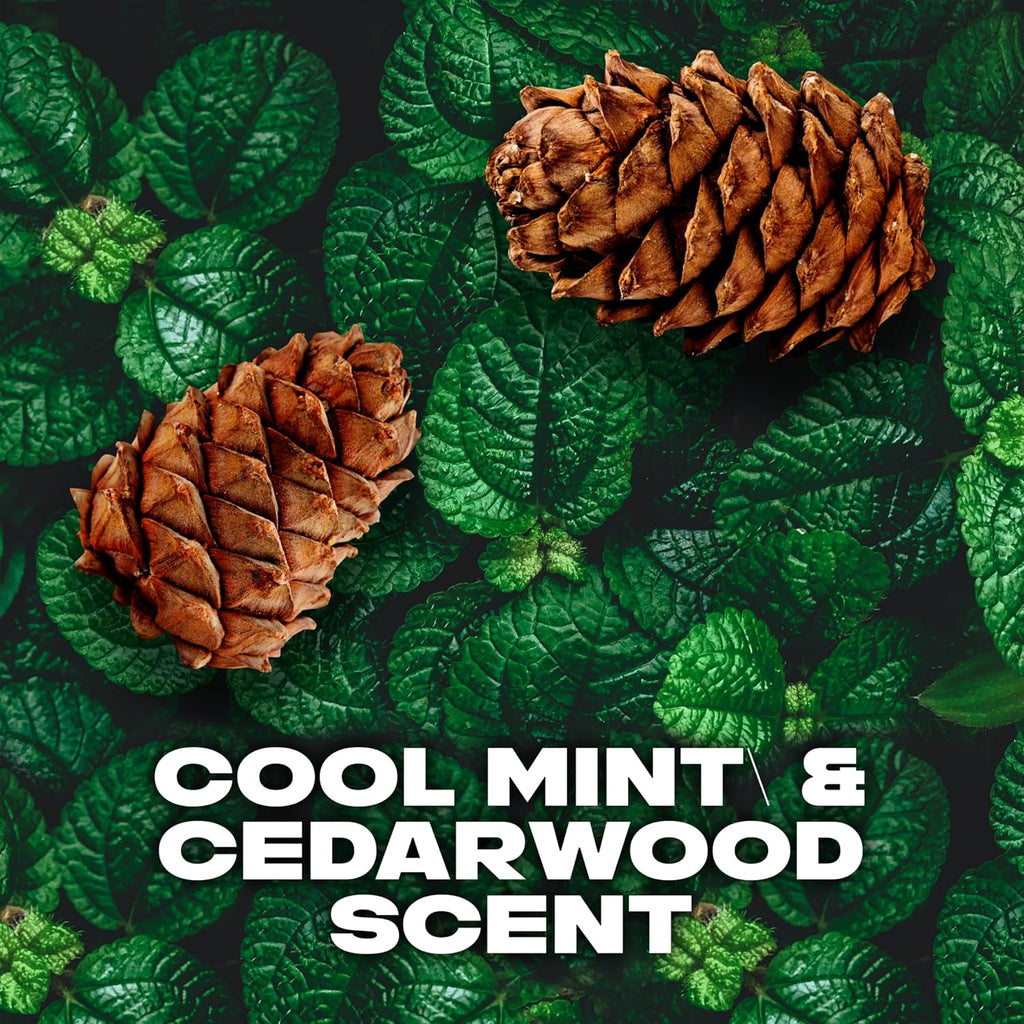 LYNX Black Night Deodorant Body Spray 165 ml (Pack of 3)